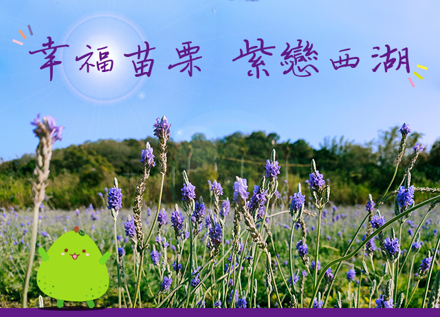 幸福苗栗 - 紫戀西湖