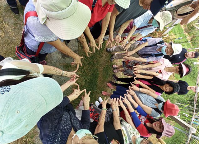 編號002-【彰化優質農村】農龍米食文化大串燒-紅龍果x有機米x...