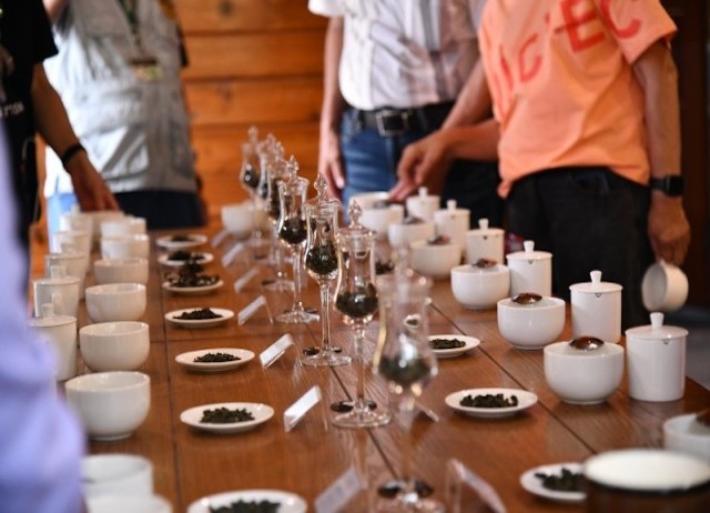 阿里山-林韻茶園-茶葉評鑑體驗-6人成團