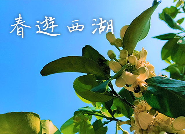 春遊西湖 - 上午場次