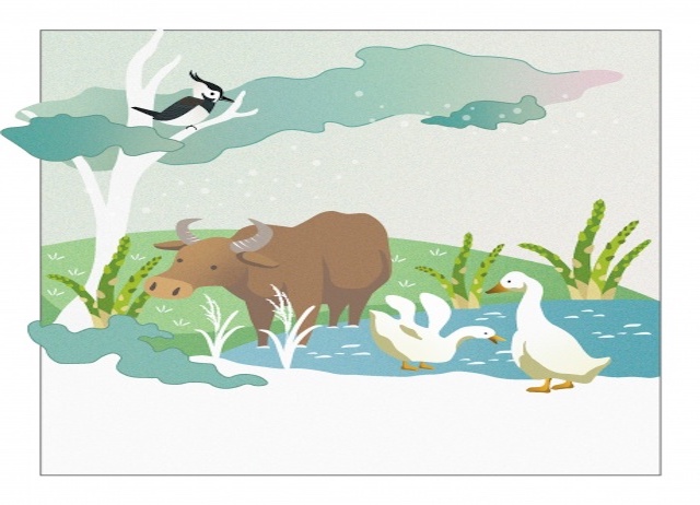 春-文青之旅 (3、4月限定)