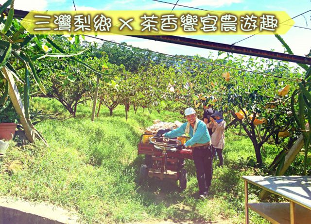苗栗。三灣梨鄉-茶香饗宴農遊趣