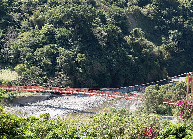 OPENING!金峰 東66線 | 小米文化二日野營(生態之旅、...