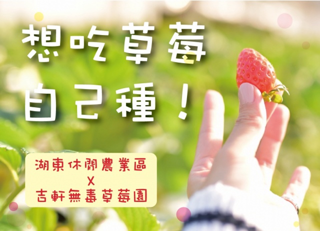 〈想吃草莓自己種！〉— 種植草莓盆栽，親子體驗互動！