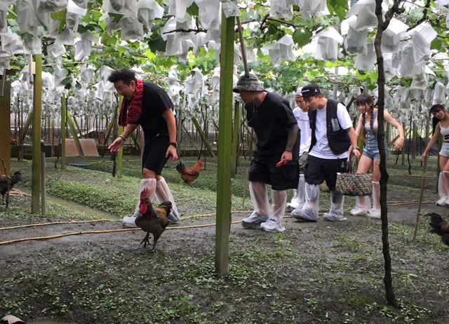 編號004-【彰化優質農村】葡萄哥哥觀光果園之愛採葡萄