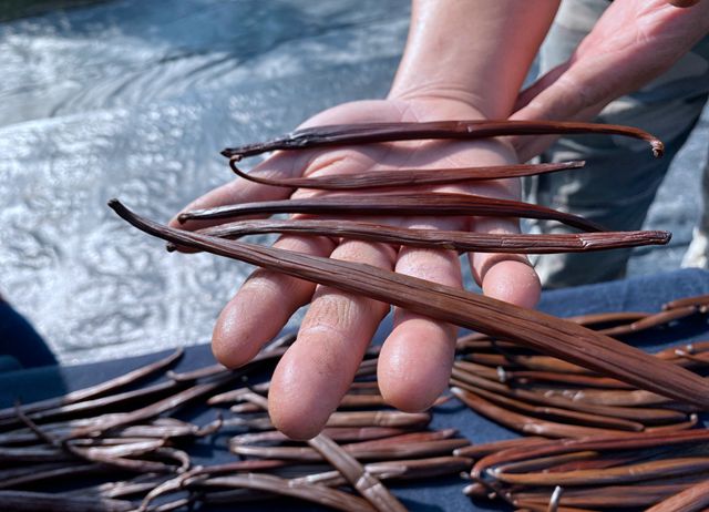 我玩故我在-彰化-社頭莊園遊-青農職人領路-4人成團