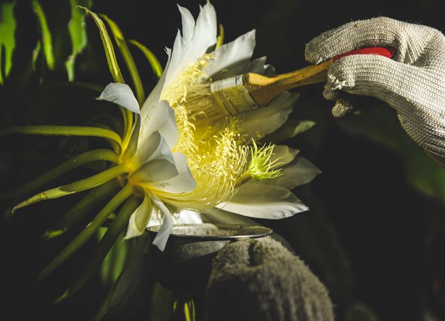 編號002：【 走跳農村 】農場涼夏料理趣  (單點體驗/半日遊...