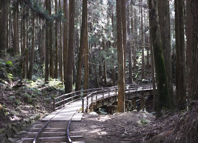 山海圳原鄉之路（特富野古道南端到部落及鄒族部落到特富野古道北端自...