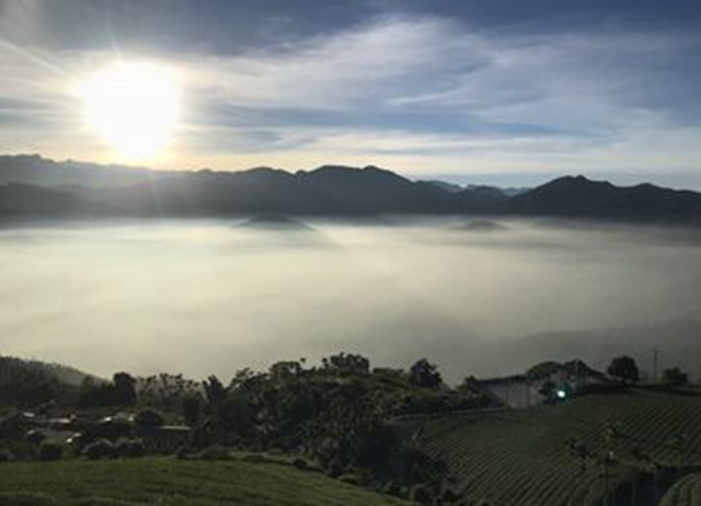 嘉義.行到水窮處。坐看雲起時（自駕+晚餐）