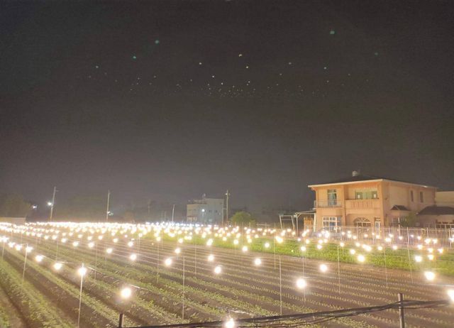 編號018-【彰化優質農村】田尾花鄉兩日遊