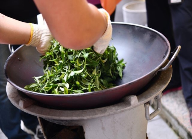 阿里山-林韻茶園-綠茶採製體驗-6人成團