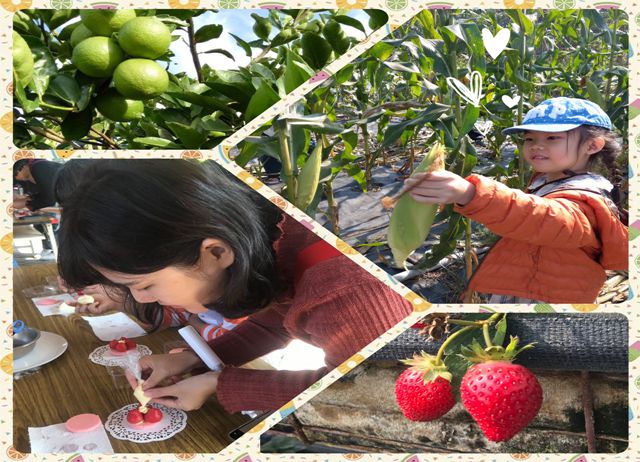 編號016：遠離城市煩囂-假日農夫我來啦! ( 大團體方案 )