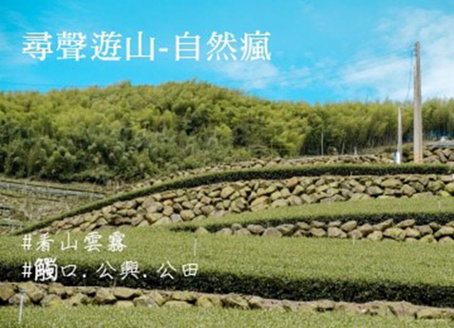 嘉義.尋聲遊山-自然瘋(108.06.22)