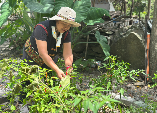 來趣台東 x 部落體驗-排灣魯凱嘉蘭部落生活圈
