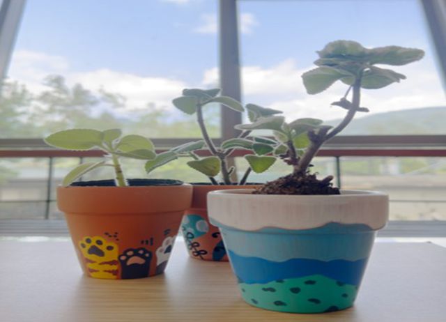 台東FUN暑假-我的香草花園體驗