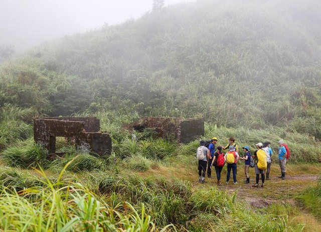 神隱鬱木林：逃離城市剛剛好！