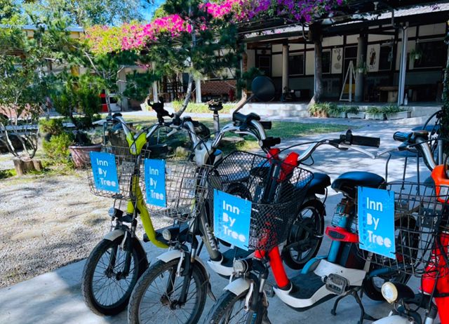 白樹腳滿竹自行車趴趴走