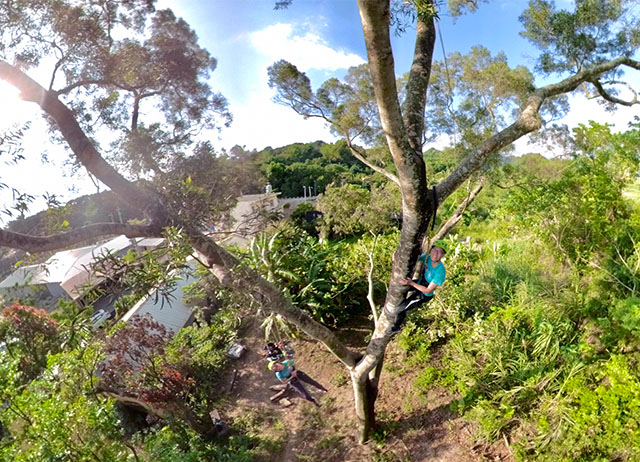 編號030：【走跳農村】當桃花遇見相思