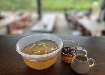 手洗野生愛玉DIY