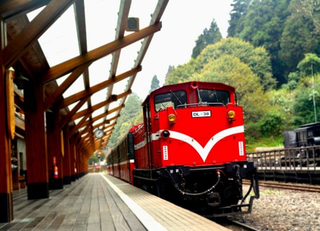 阿里山小火車之旅，晨曦初升，特富野古道，森林的詩篇（自助無導遊）