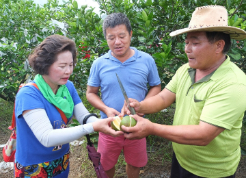 花蓮。《興禮有你》漫步花蓮—細品中區