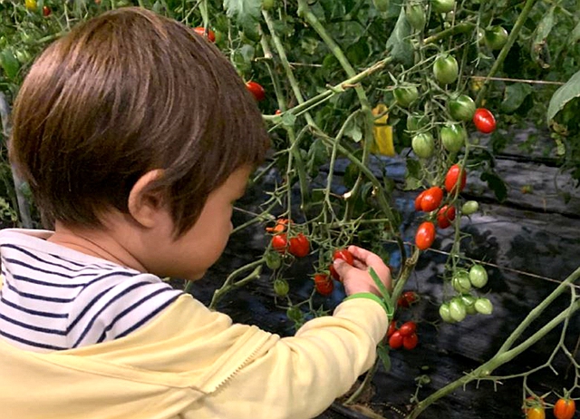 編號011-【彰化優質農村】彰化大村騎到隔壁村