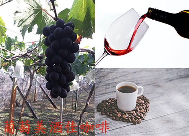 編號020-【彰化優質農村】葡萄美酒佳咖啡