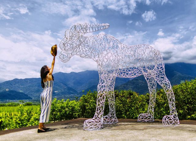 編號008：池上+東海岸-大地藝術文化深度之旅-3天2夜