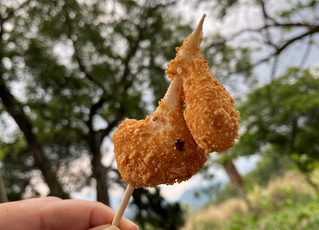 我玩故我在-茶山部落鄒趣半日遊輕旅行