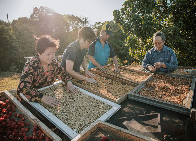 【彰化優質農村】低碳旅遊-咖啡張-超低海拔台灣咖啡傳奇