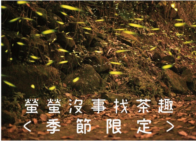 編號035：螢螢沒事找茶趣<季節限定>