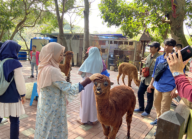 Mountain Bagua 1 Day Muslim Frie...