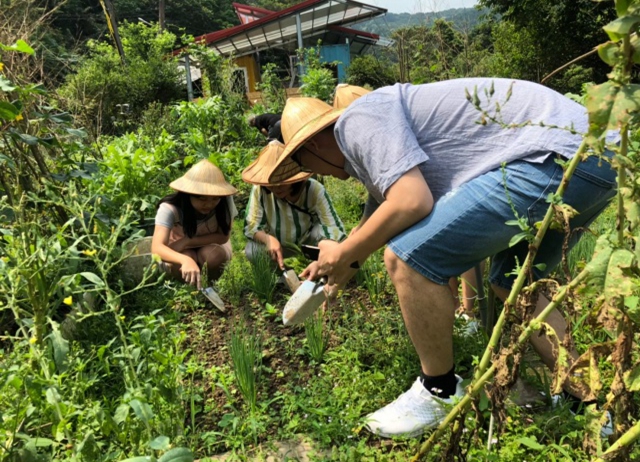 編號044：石碇手作蔥餅吃流水麵