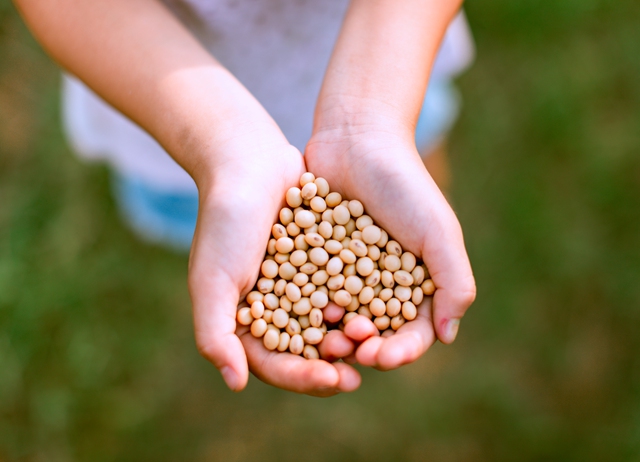 編號010-【彰化優質農村】田野黃豆 創藝農食旅