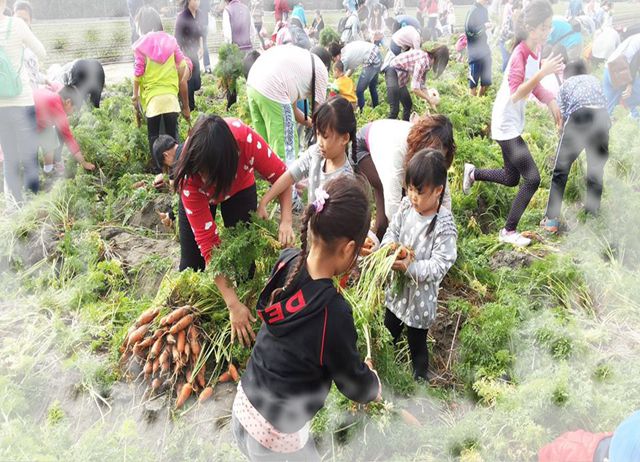 編號038-【彰化優質農村】難得胡土~小白兔的溫柔鄉~芳苑鄉新生...