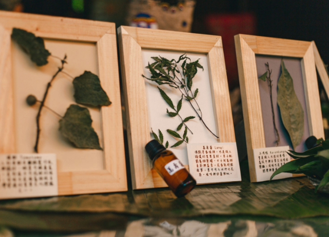 Ngudjus｜山林的香氣 【2025南島族群婚禮系列活動】