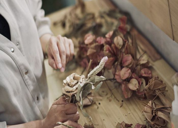 部落沃客的植體驗