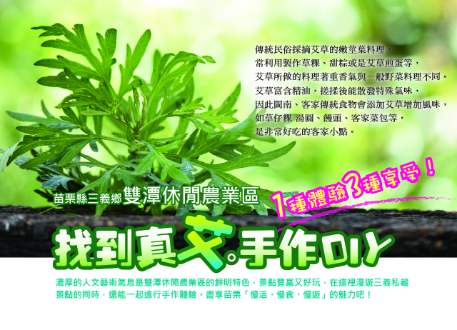 苗栗雙潭-找到真艾~手作DIY深度之旅(一人成行)