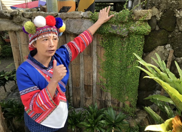 編號014：嘉義阿里山-得恩亞納部落-隱世霧中祕境x迷漾森林