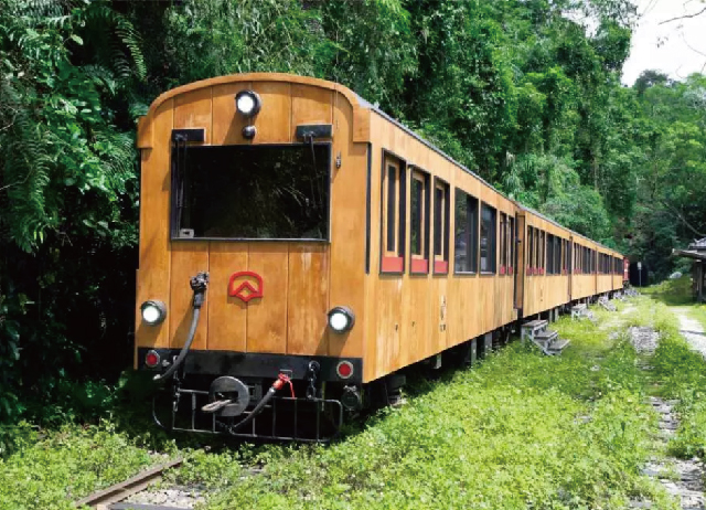 嘉義好玩卡-阿里山福森號觀光列車套票