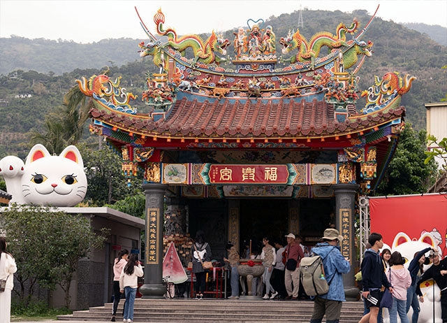 OPENING!金峰 東63線 | 山海探索一日遊(南迴打卡、部...