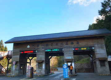 阿里山國家森林遊樂園區門票 (全票)