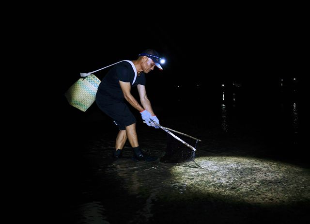 離島出走：海洋探索者（夜光場）