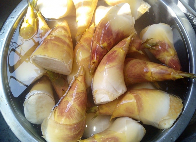 編號028-【彰化優質農村】彰化 X 竹夢自然X走山隊 X 半日...