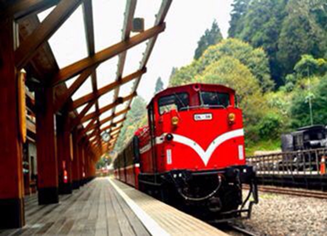 嘉義.秘境巨木X森林鐵路X  阿里山森林遊樂區慢慢行