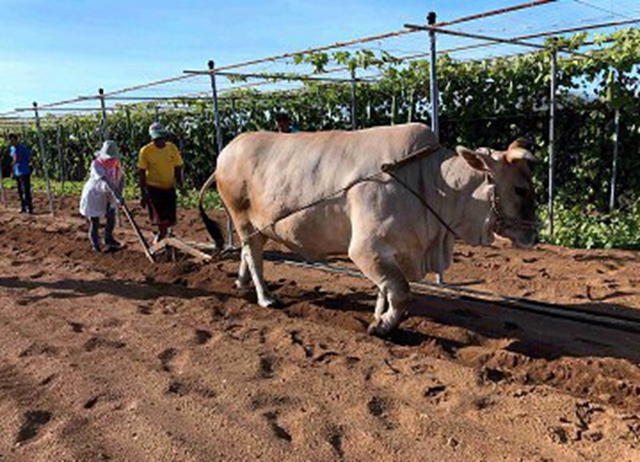 秋冬遊澎湖不熱更樂-高雄出發