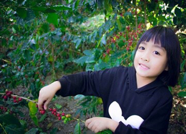 屏北咖好遊-原鄉(德文部落)咖啡職人遊學營(季節限定)