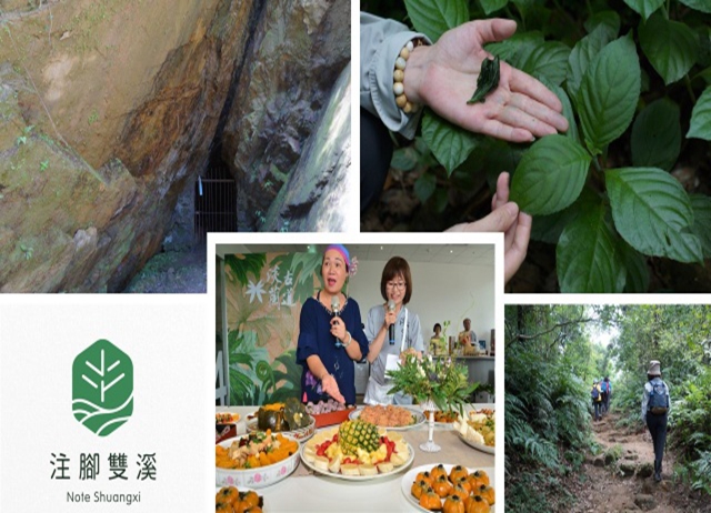 編號040：淡蘭北中路好行 雙溪風土饗療癒