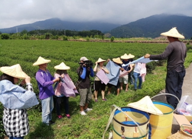 編號059：玩食茶-採茶五感體驗