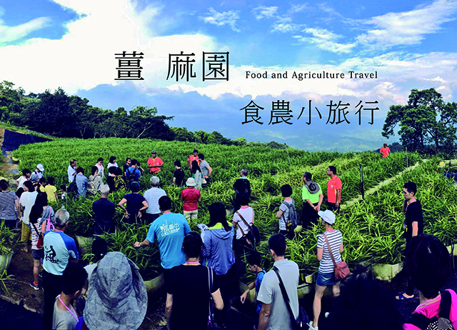 苗栗。薑麻園-2019風情萬種薑麻節-食農小旅行